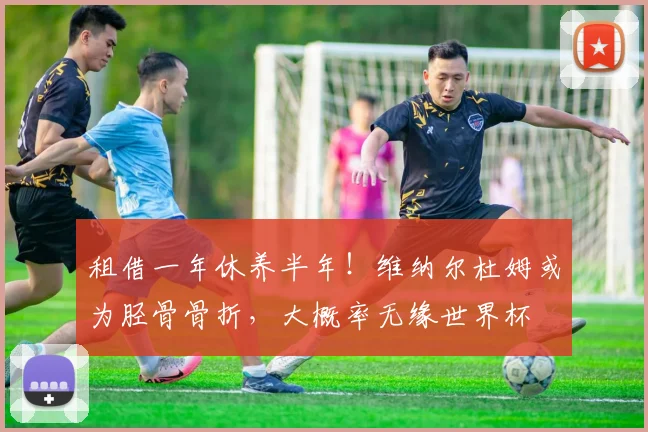 租借一年休养半年！维纳尔杜姆或为胫骨骨折，大概率无缘世界杯