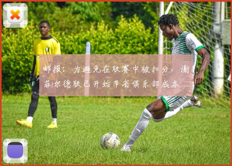 邮报：为避免在联赛中被扣分，谢菲尔德联已开始节省俱乐部成本