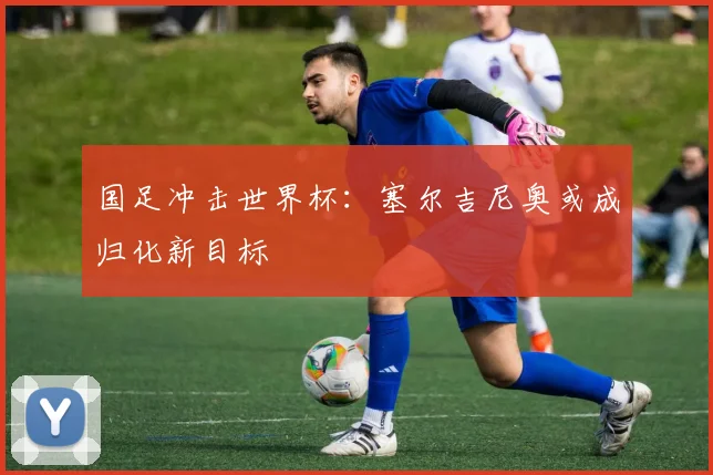 国足冲击世界杯：塞尔吉尼奥或成归化新目标