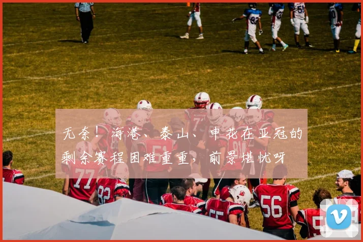 无奈！海港、泰山、申花在亚冠的剩余赛程困难重重，前景堪忧呀