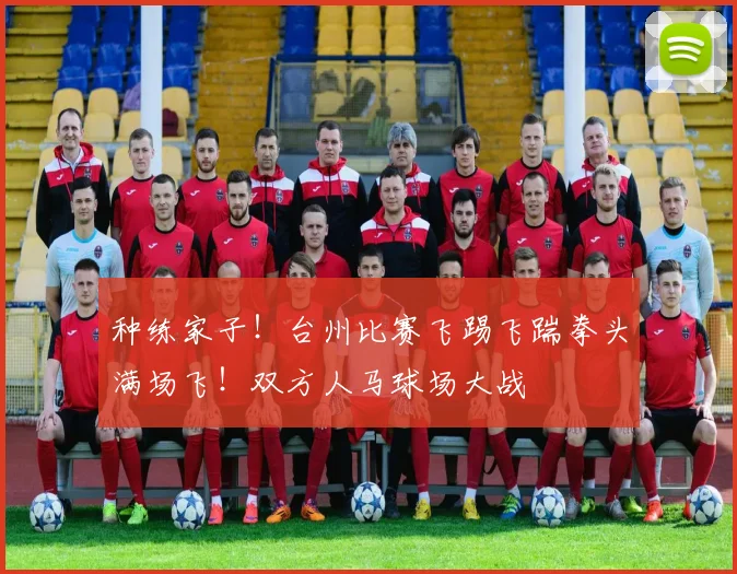 种练家子！台州比赛飞踢飞踹拳头满场飞！双方人马球场大战